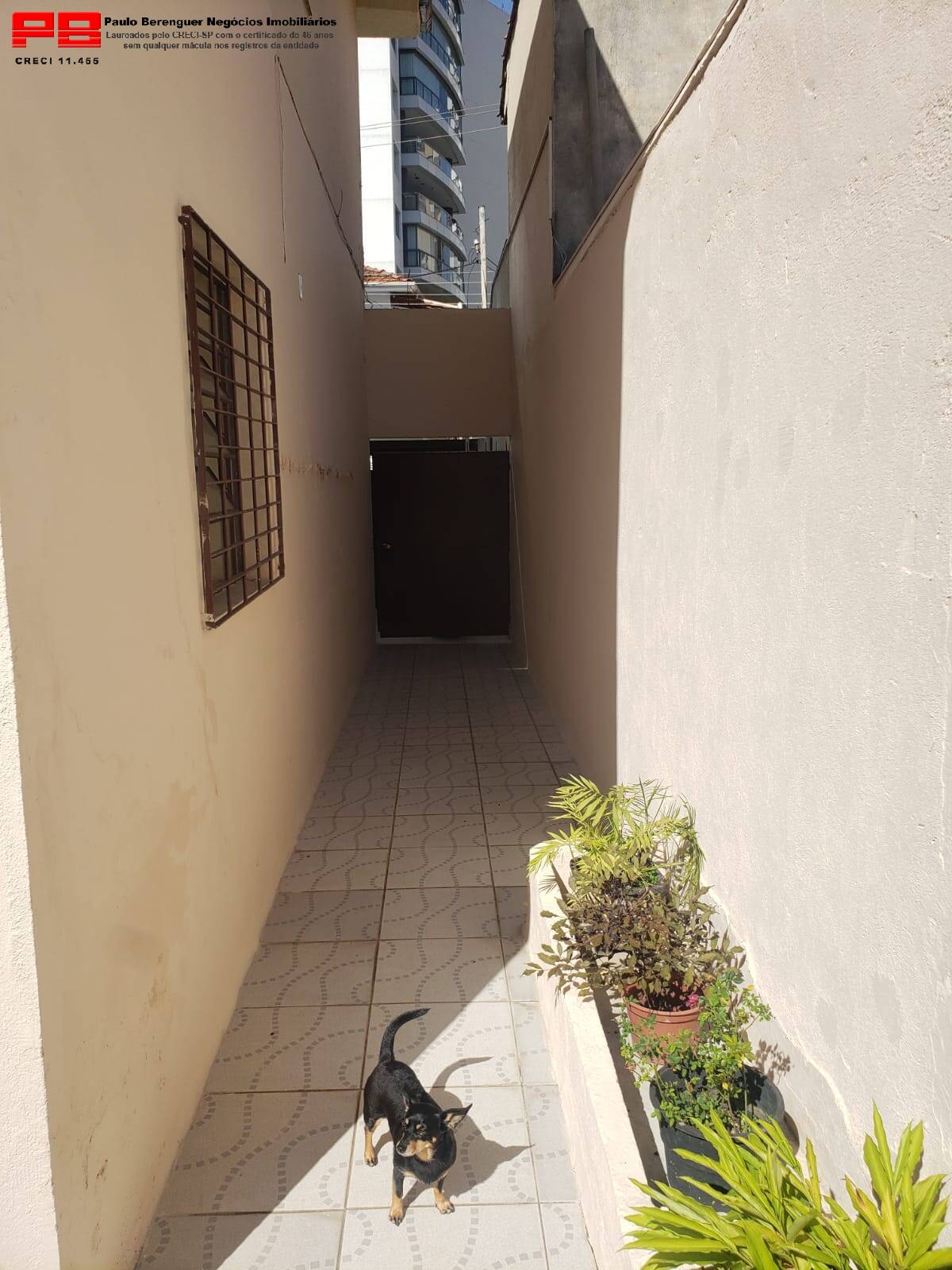 Casa, 3 quartos, 150 m² - Foto 23