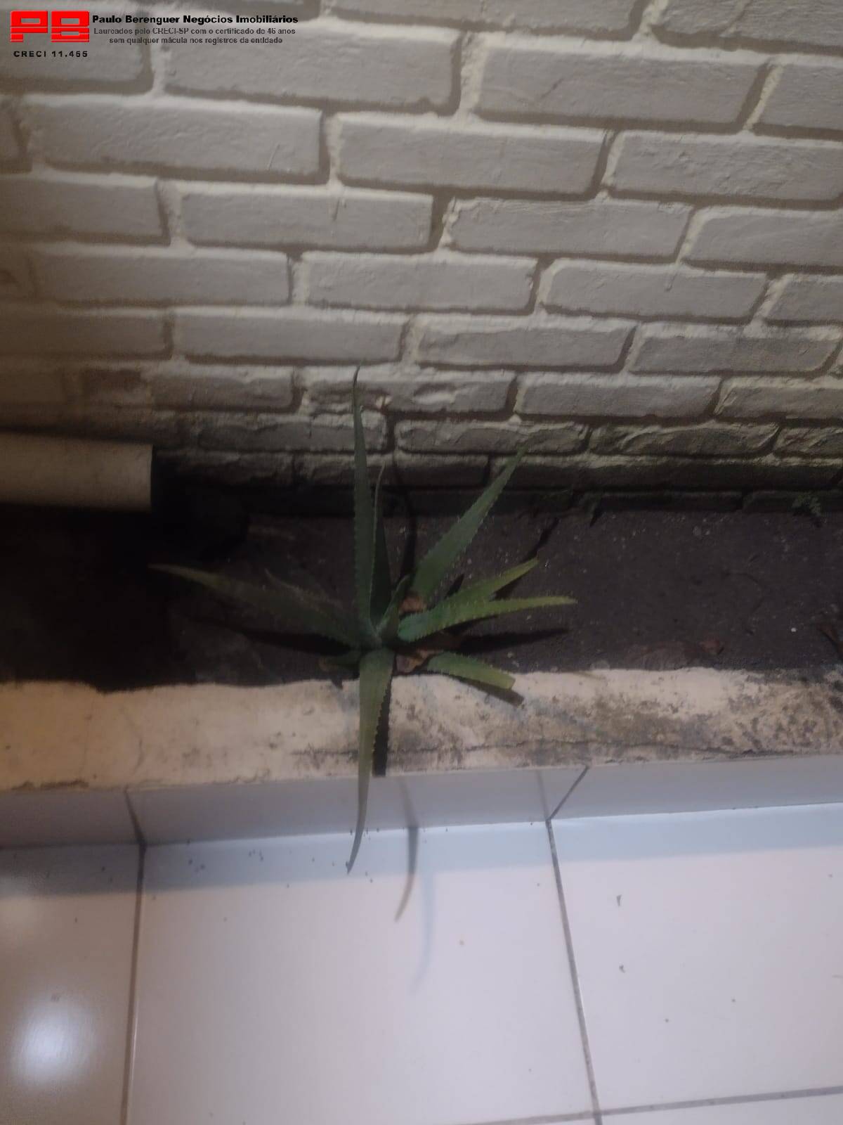 Casa, 2 quartos, 75 m² - Foto 13